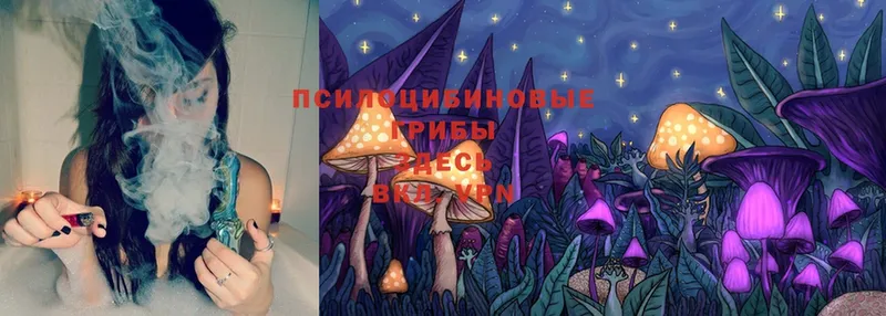 Псилоцибиновые грибы Cubensis  kraken зеркало  Кохма 